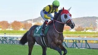 【ドバイゴールドカップ】ステイフーリッシュ・ヴェローチェオロなど6頭が予備登録