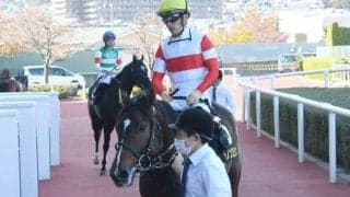 【共同通信杯出走馬・騎手確定】ダノンスコーピオン＆川田将雅騎手、ジオグリフ＆C.ルメール騎手など11頭