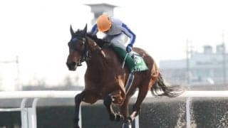 【笠松・ウインター争覇結果】スタンサンセイが押し切って3連勝で重賞初V