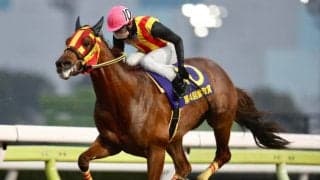【大井・雲取賞結果】シャルフジンが逃げ切って転入初戦を快勝