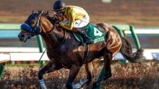 【リヤドダートスプリント】ダンシングプリンスはルメール騎手で参戦