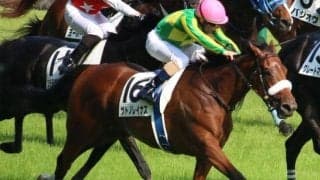 【JRA】昨年の桜花賞2着馬サトノレイナスが登録抹消