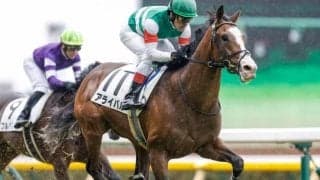 【次走】京成杯4着のアライバルはルメール騎手でスプリングSへ