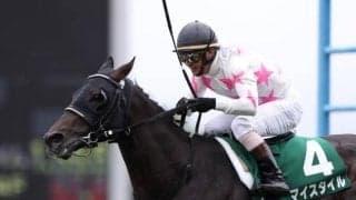 【JRA】マイスタイルが引退　馬事公苑で乗馬に