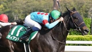 ディアンドルが競走馬登録抹消