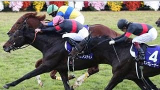 ペルシアンナイトが競走馬登録抹消