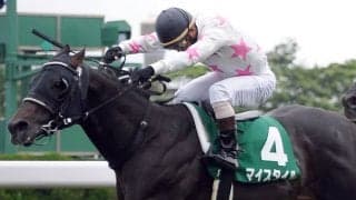 マイスタイルが競走馬登録抹消