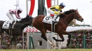 【新馬/中京6R】ディープ産駒 ゼッフィーロがデビューV