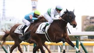 【新馬/東京6R】ディープ産駒 ロールアップがデビューV