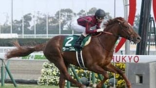 京都記念は血統でコース適正をチェック。期待は「阪神巧者」の血を引く２頭