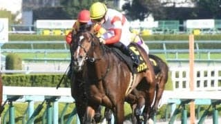 【共同通信杯枠順確定】ダノンスコーピオンは8枠11番、ジオグリフは5枠5番