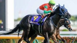 【京都記念枠順確定】ユーバーレーベンは5枠6番、レッドジェネシスは7枠10番