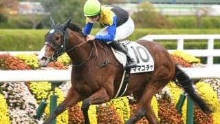 【次走】ソダシの全妹ママコチャはフィリーズレビューへ向かう