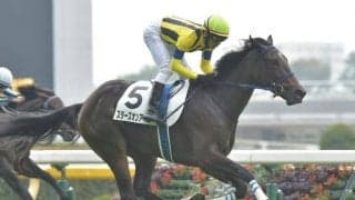 【今日の注目ポイント】阪神開催が開幕　東京で牝馬の出世レース・クイーンC