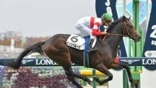 共同通信杯の狙い目は、信頼度が高まる「過去データ」が示す３パターンから浮上した穴馬４頭