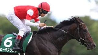 【京都牝馬S想定】昨夏のマイル王ロータスランド、リステッド2勝ドナウデルタなど18頭