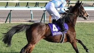 【ダイヤモンドS想定】超軽量馬メロディーレーン、3連勝中テーオーロイヤルなど14頭