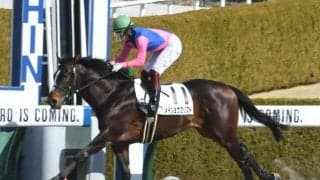 【阪神4R新馬戦結果】メイショウクリフトが人気に応えて4馬身差圧勝