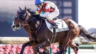 【クイーンC予想】ノーザンファームだけじゃない!? 社台グループが圧倒！/JRAレース展望