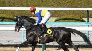 【洛陽S結果】エアファンディタがゴール寸前で差し切りオープン初V