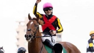 【共同通信杯前日オッズ】ジオグリフが2.9倍で1番人気、アサヒが3.9倍で続く