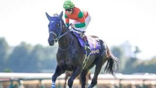 【京都記念前日オッズ】ユーバーレーベンが3.4倍で1番人気、6頭が10倍を切り上位拮抗