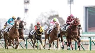 【共同通信杯】土曜時点では瞬発力タイプの活躍が目立った/万哲の馬場予報