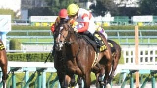 【共同通信杯予想】やはり前走勝利馬が優秀、しかも妙味も!?/JRAレース展望