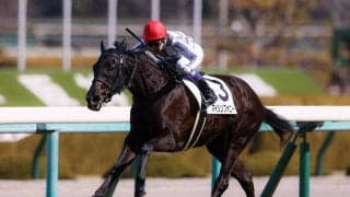 【阪神5R】良血マイシンフォニーが初勝利