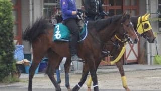 【共同通信杯】ダノンスコーピオン安田隆師「先々を見据えての東京1800」/ねぇさんのトレセン密着