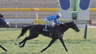 【雲雀S】ミッキーアイル産駒 ララクリスティーヌが4勝目