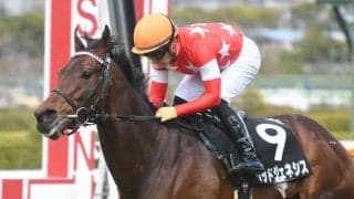 【今日の注目ポイント】阪神で京都記念、東京では共同通信杯