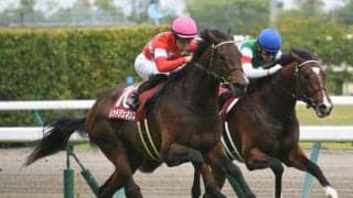 【京都記念予想】今後の大阪杯、宝塚記念を占う見逃せない1戦