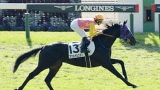 共同通信杯で要注目の地力ある２頭。前走の重賞で力を発揮できずも巻き返しはある