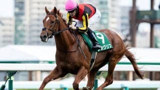 【共同通信杯予想】単勝狙うならば4・6番人気馬？　今年の人気馬2頭にはローテの壁あり？