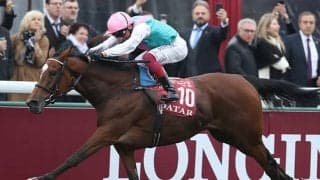 【海外競馬】凱旋門賞連覇のエネイブルに初仔が誕生、父キングマンの牡馬