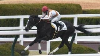 【阪神4R新馬戦結果】エルデスペラードが抜け出して3馬身半差快勝