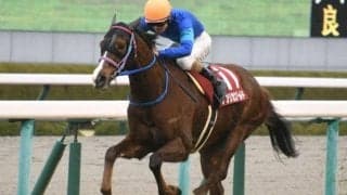 【京都記念結果】ブービー人気アフリカンゴールドが逃げて2年4か月ぶりのV！上位人気総崩れの波乱