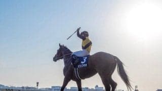 JRAは土日に4重賞　注目は今年最初の中央GI・フェブラリーS/今週の競馬界の見どころ