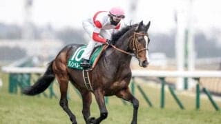 【共同通信杯】売上は58億6079万8800円で昨年からおよそ1.5億円の増加