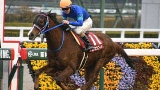 【京都記念】売上は61億5688万7700円で昨年からおよそ13.3億円の増加