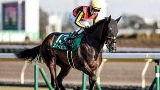 【クイーンC】売上は45億602万5100円で昨年からおよそ1億円の減少