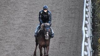 【ダイヤモンドS想定騎手】ヴェローチェオロは戸崎圭太騎手、レクセランスは横山武史騎手