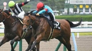 【小倉大賞典想定騎手】アリーヴォは横山和生騎手、ダブルシャープは酒井学騎手