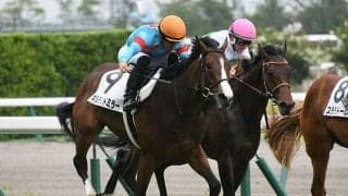 【京都牝馬S想定騎手】ギルデッドミラーは福永祐一騎手、スカイグルーヴはC.ルメール騎手