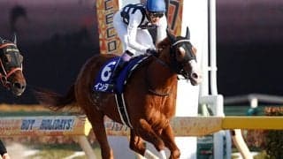 【AI予想・フェブラリーS】7連勝の輝き再び!? 超豪華ダート頂上決戦で古豪スピードスターの復活なるか