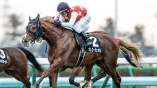 【ダイヤモンドSハンデ確定】ヴェローチェオロは54.0kg、レクセランスは55.0kg