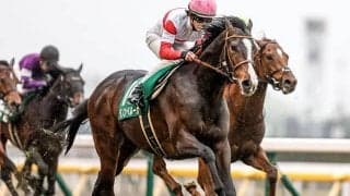 ケチのつけどころが見当たらない優等生 ハーツクライ産駒からまた1頭クラシック候補が誕生