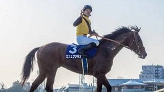 【フェブラリーS想定騎手】カフェファラオは福永祐一騎手、レッドルゼルは川田将雅騎手