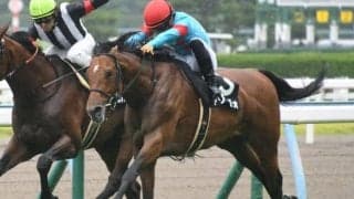 【小倉大賞典ハンデ確定】アリーヴォは54.0kg、ダブルシャープは56.0kg